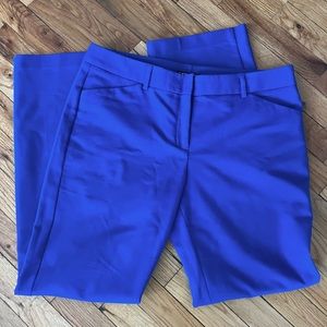 Royal Blue Express Editor Pants